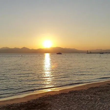 à Quelques Pas De La Mer, De La Croisette Et Du Palais Des Festivals * Cannes