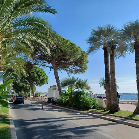 Apartment A Quelques Pas De La Mer, De La Croisette Et Du Palais Des Festivals *